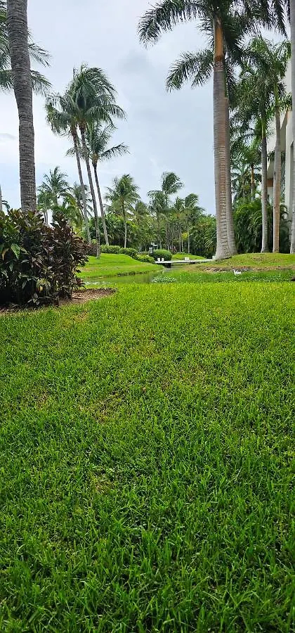 Mayan Palace Puerto Morelos 0*,